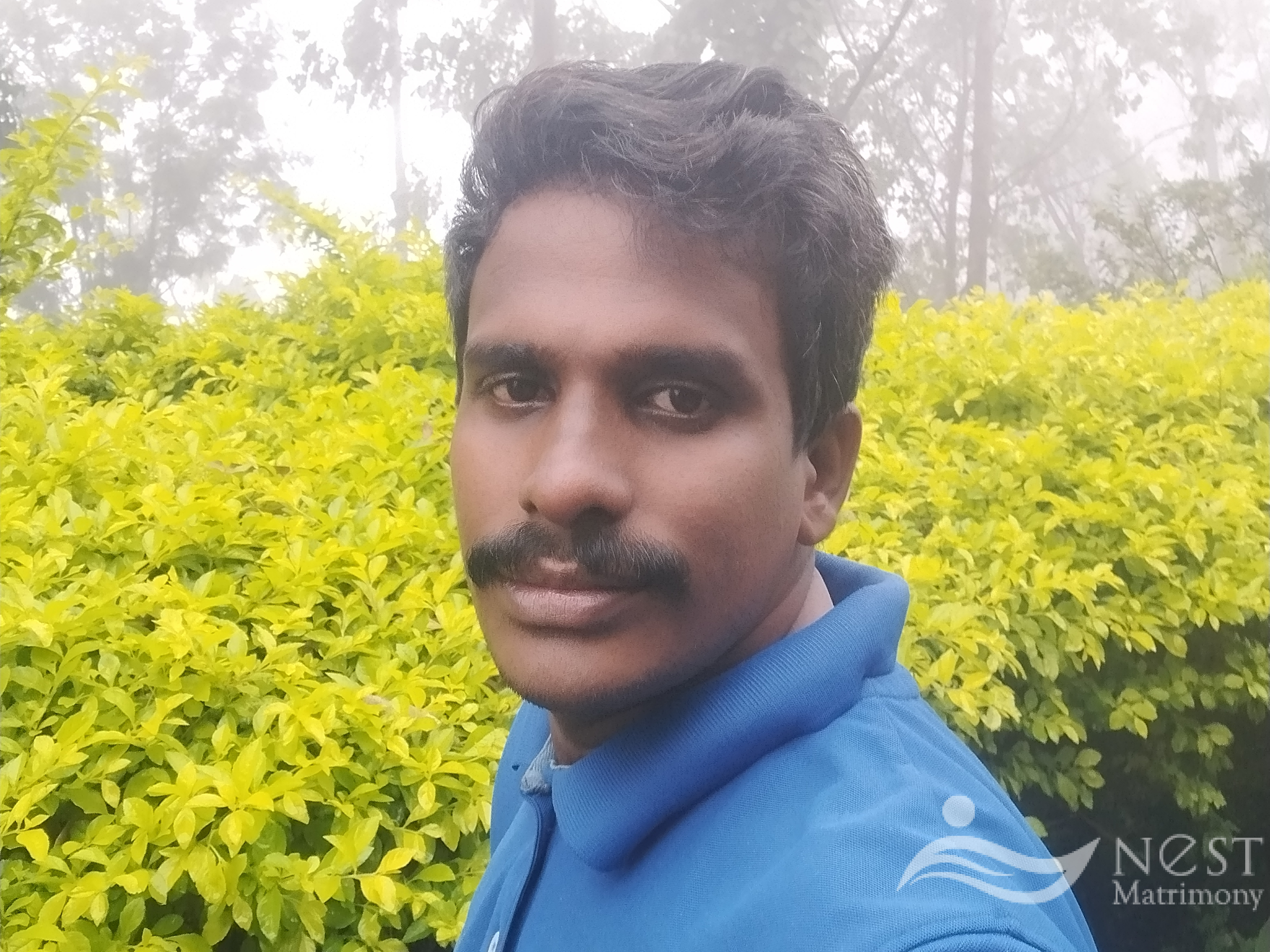 Sukesh K Kaimal