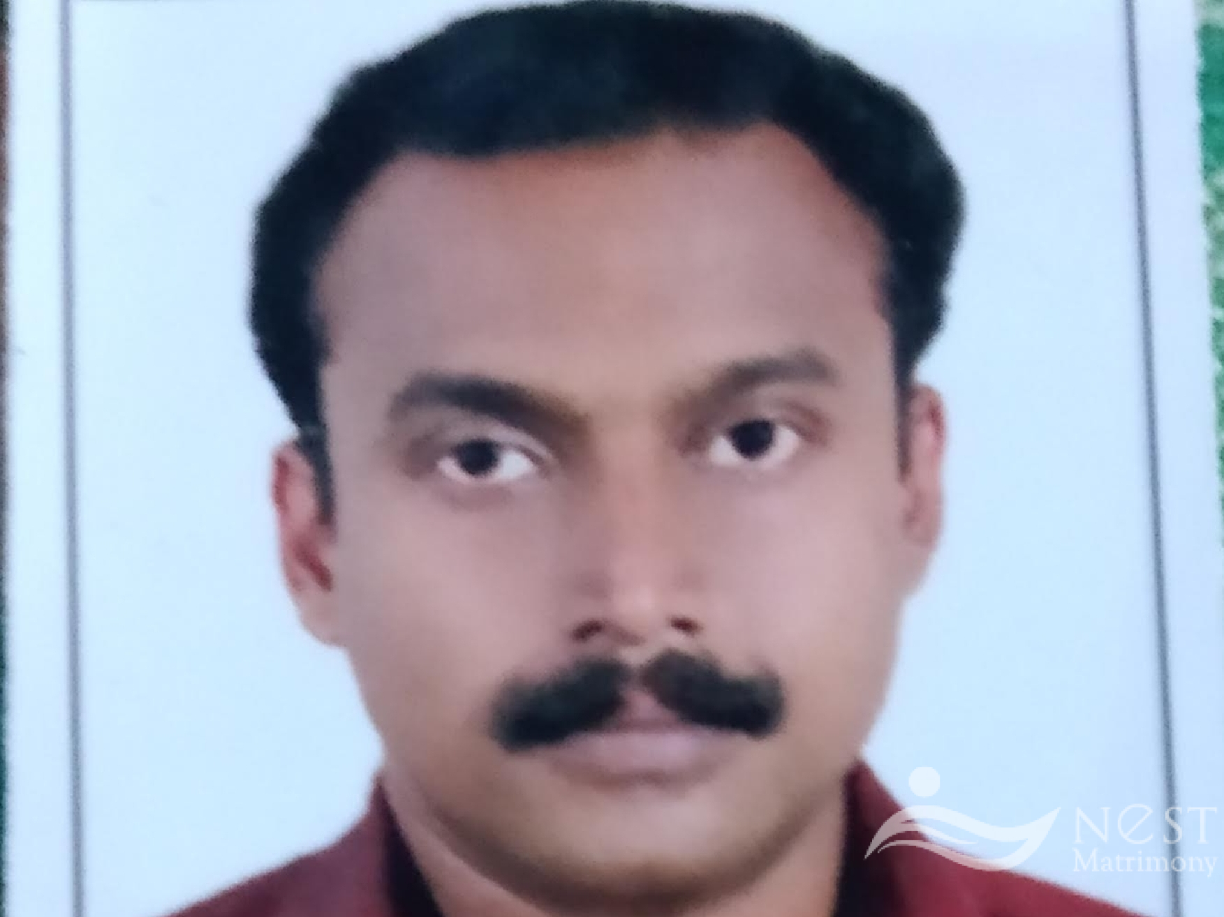 Sanju Kumar