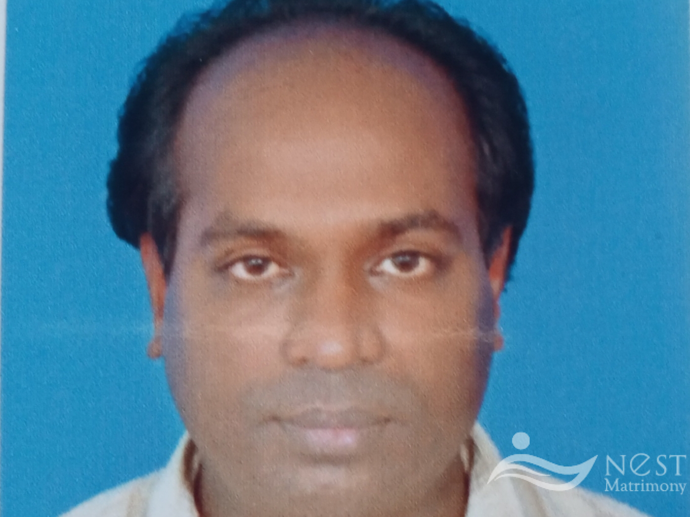 REJI MJ