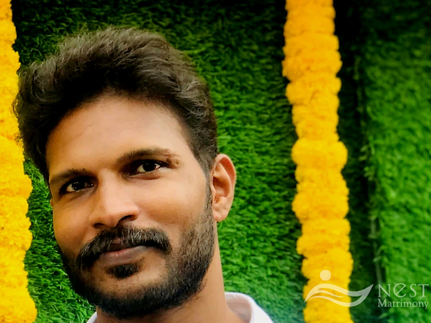 Ajeesh K P