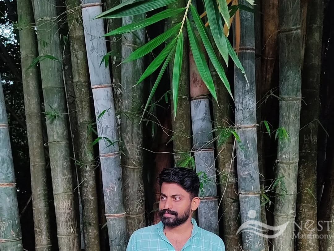 Midhun Mathew P