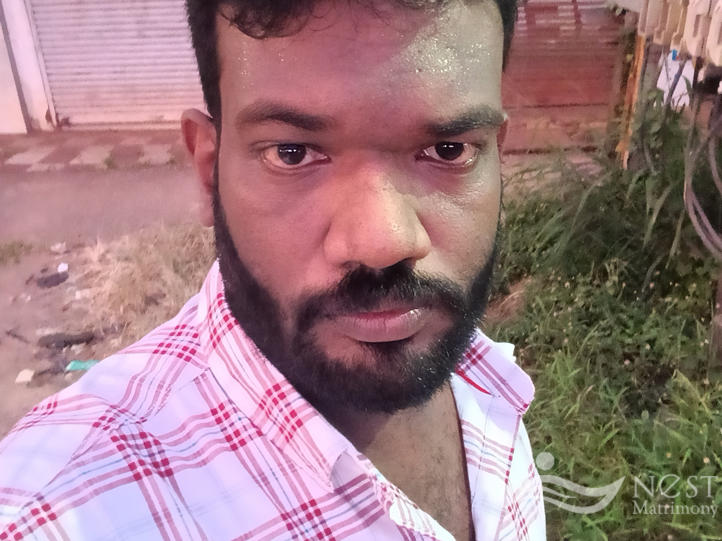 Niyas